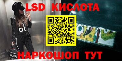 стаф Кинель