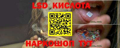 трава Кингисепп