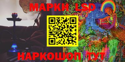 стаф Кинель